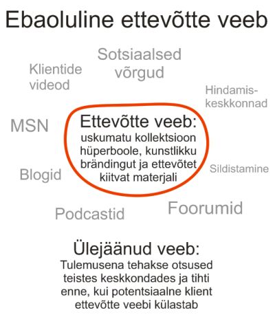 ebaoluline ettevõtte veeb