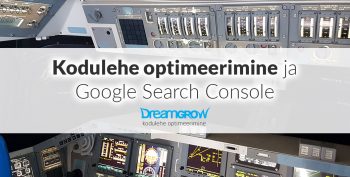 kodulehe optimeerimine google search console abiga