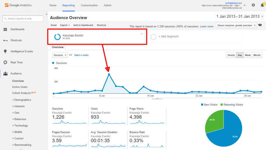 google analytics spamm segment eesti