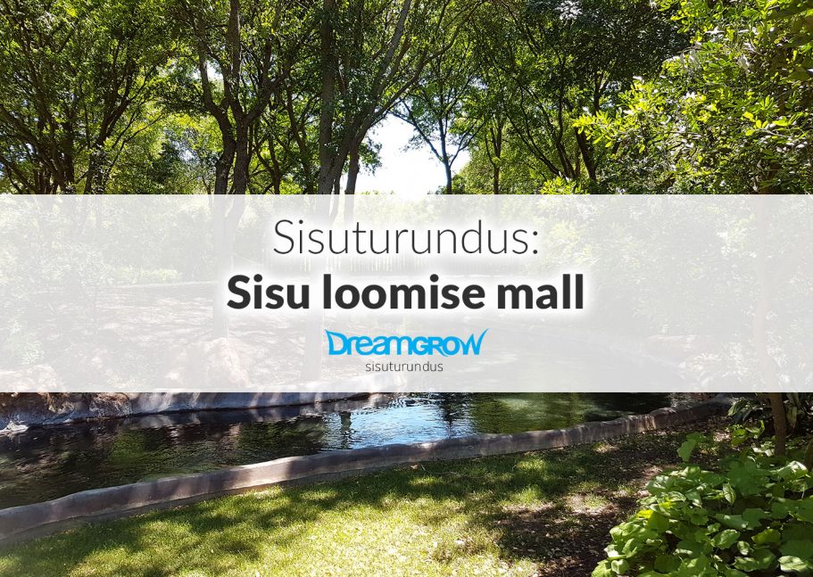 sisuturundus sisu loomise mall