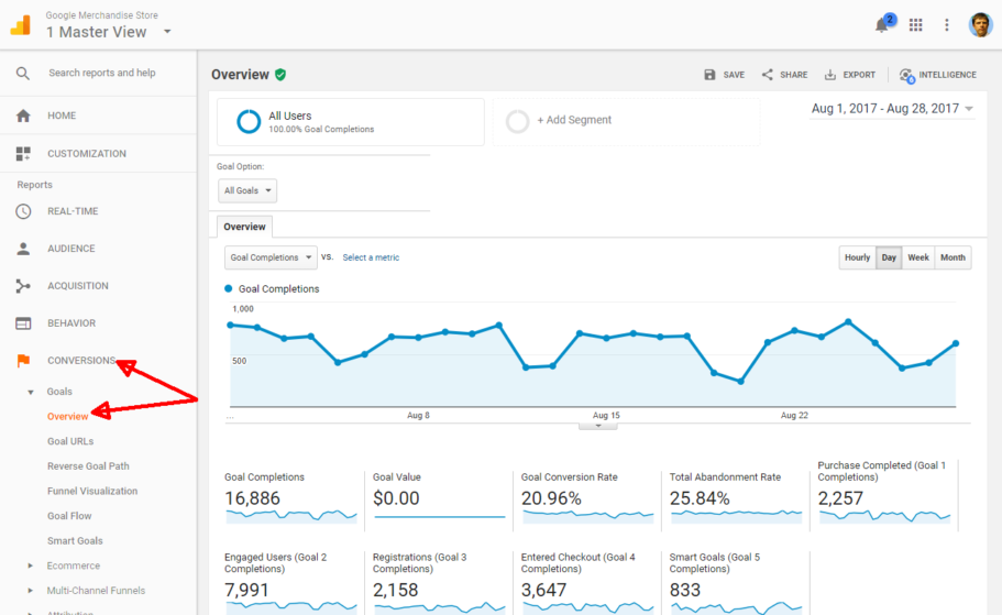 google analytic conversion raport goalid