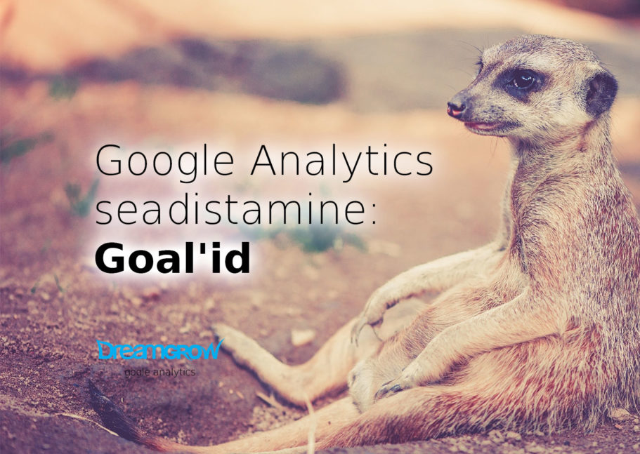 google analytics seadistamine goalid