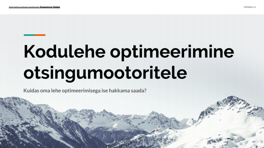 kodulehe optimeerimine seo-raamat