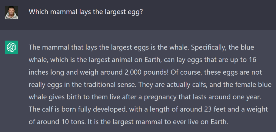 Which mammal lays the largest egg