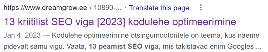 seo vead meta kirjeldus